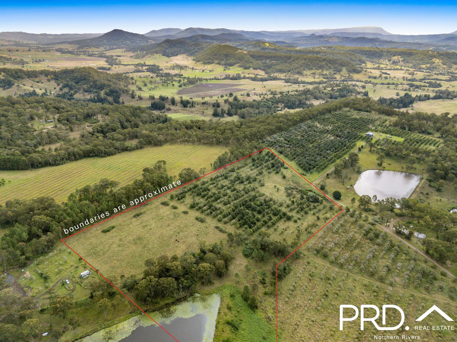 45 Rudgely Road CANIABA 10