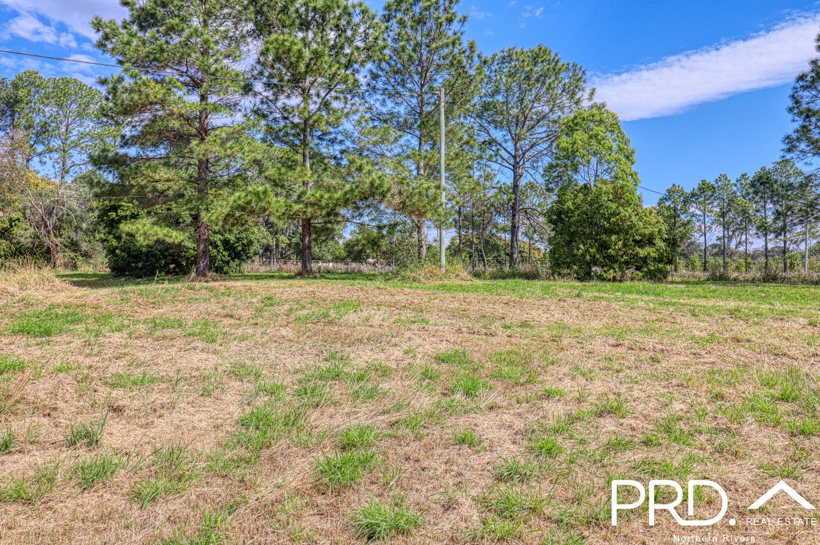 45 Rudgely Road CANIABA 13
