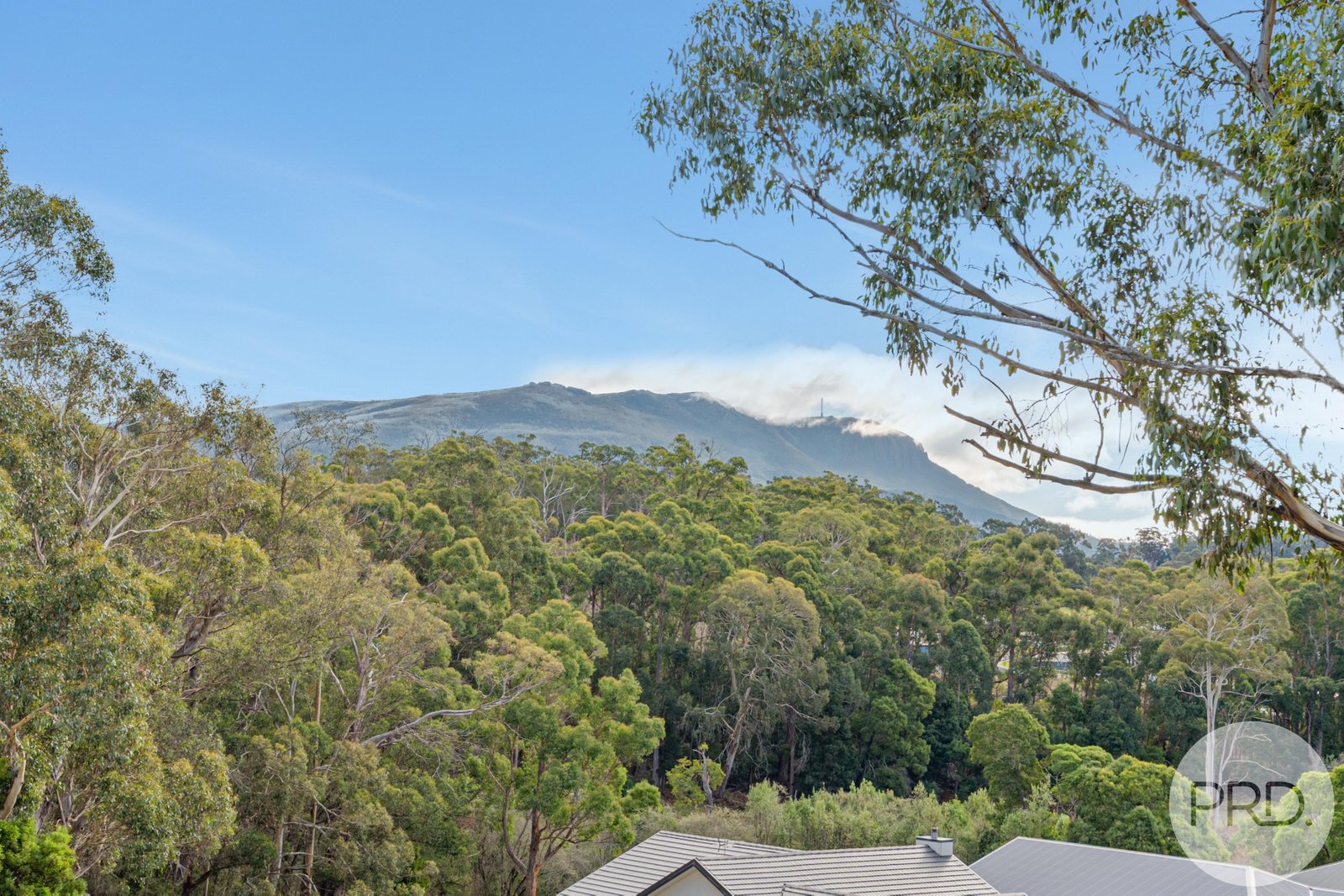 45 Turquoise Way KINGSTON 14