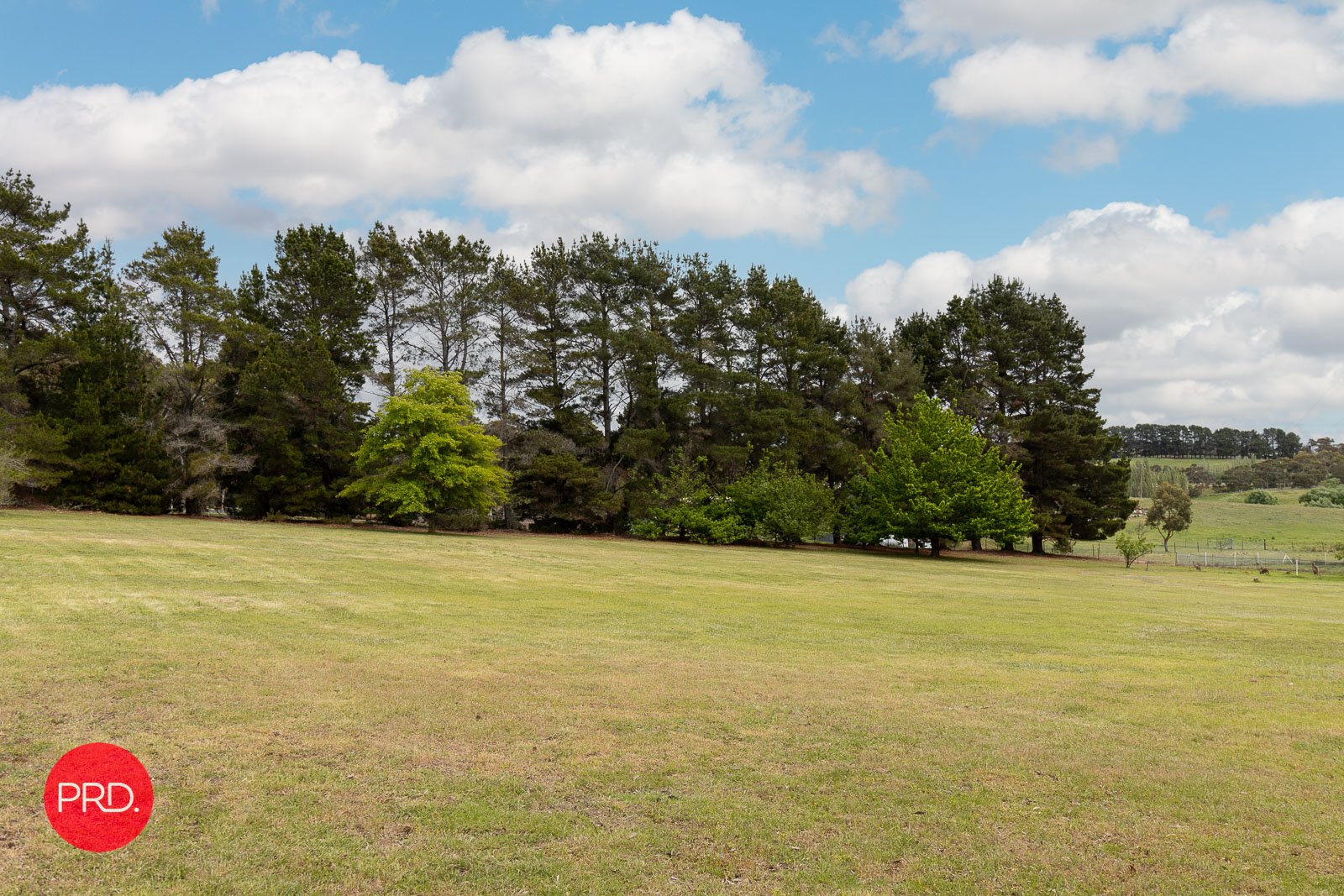 45 Wyoming Road BYWONG 18