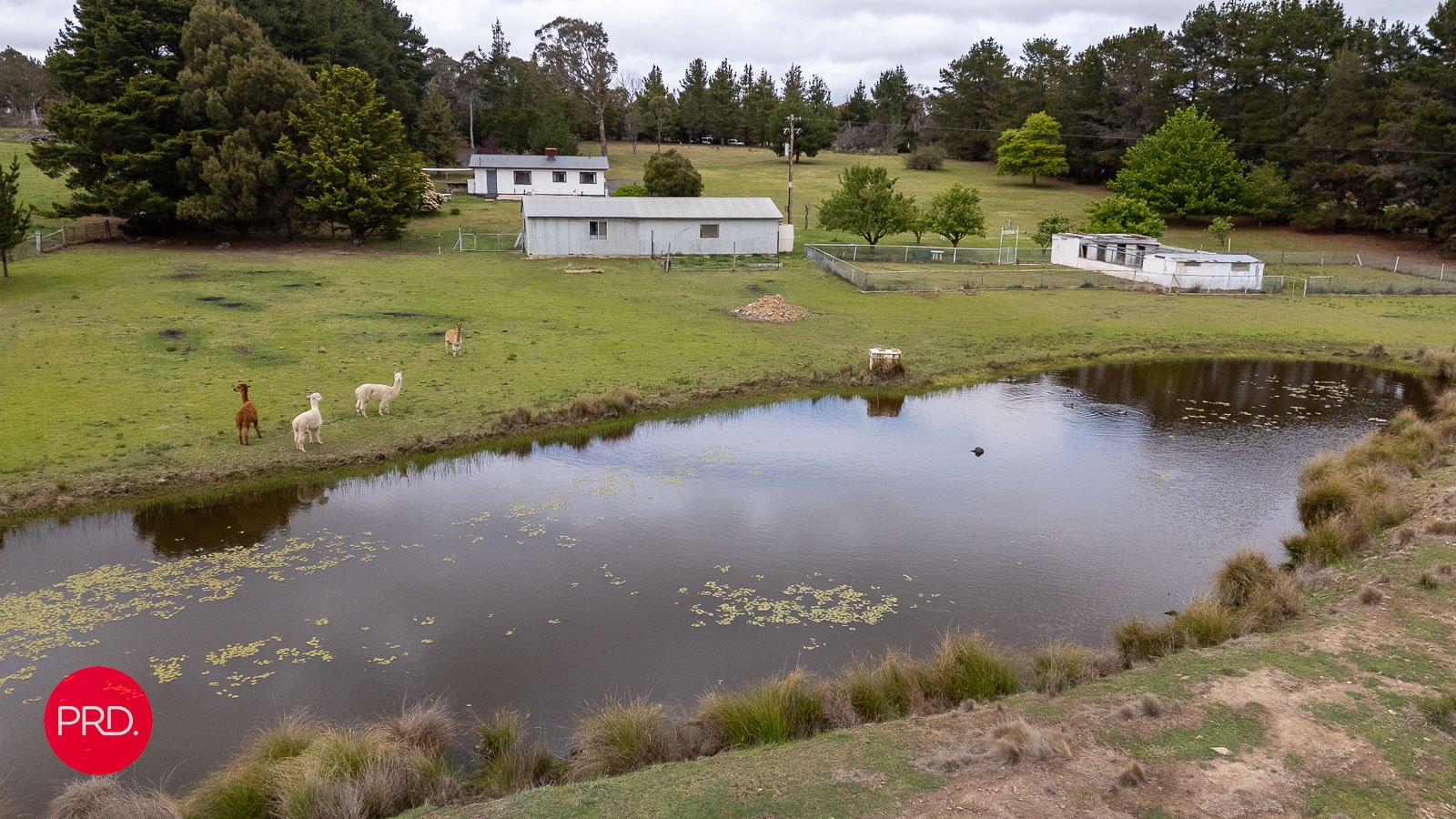 45 Wyoming Road BYWONG 24