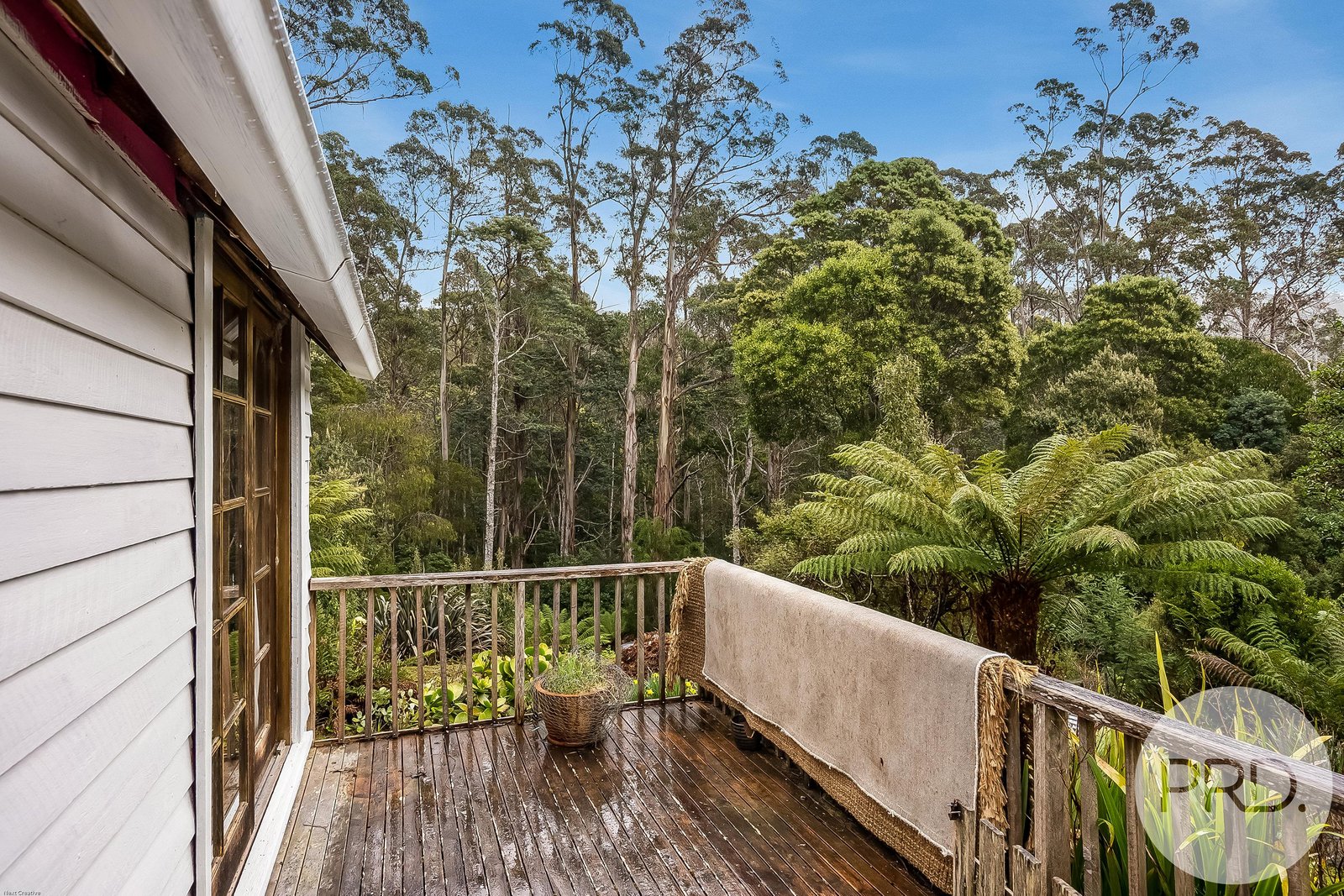 450 Fire Tower Road KOONYA 16