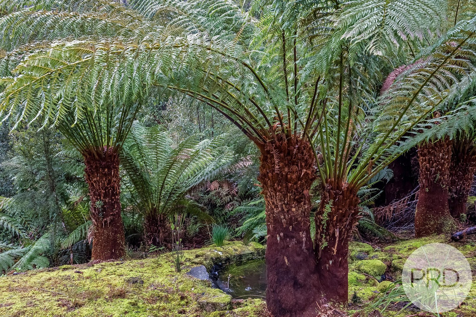 450 Fire Tower Road KOONYA 17