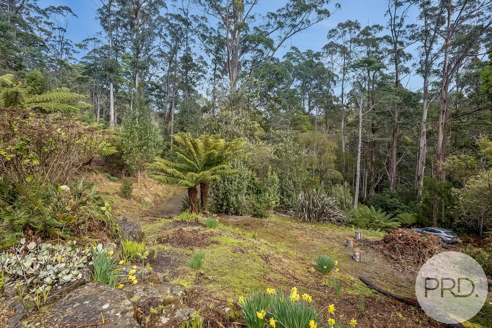 450 Fire Tower Road KOONYA 19