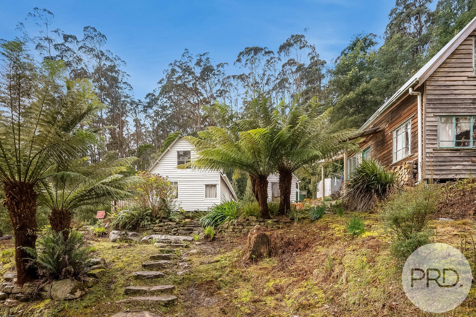 450 Fire Tower Road KOONYA 22