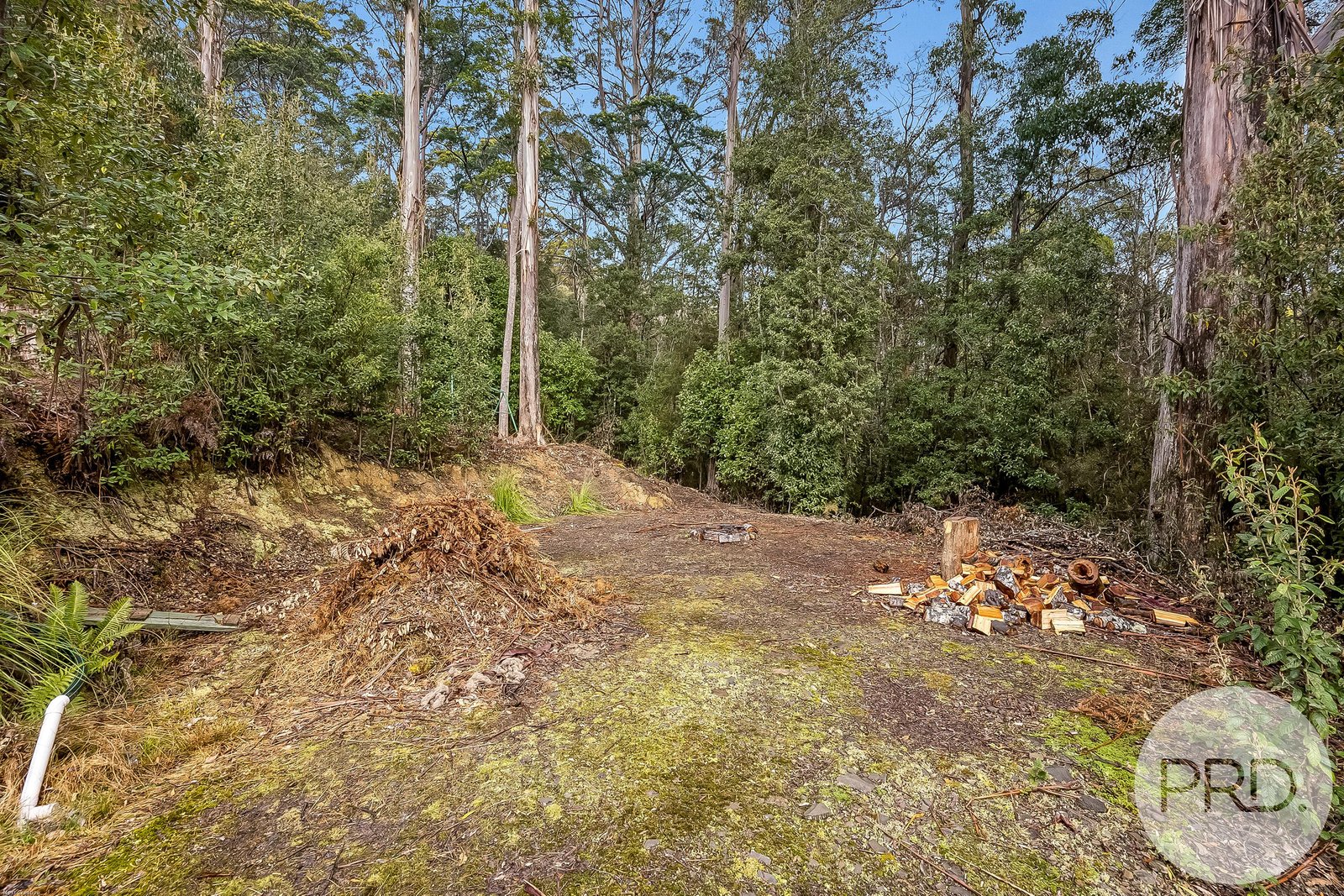 450 Fire Tower Road KOONYA 23