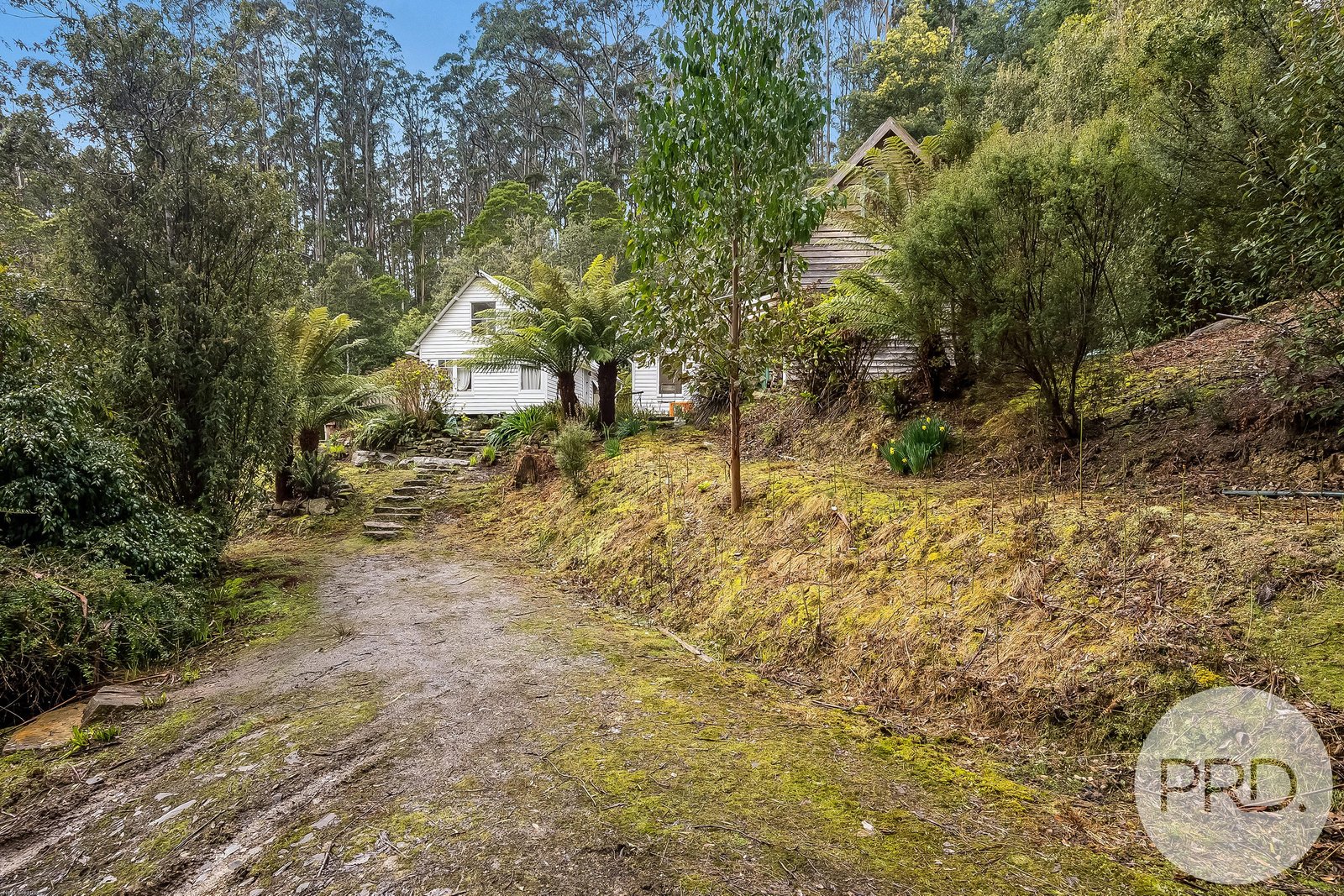 450 Fire Tower Road KOONYA 24