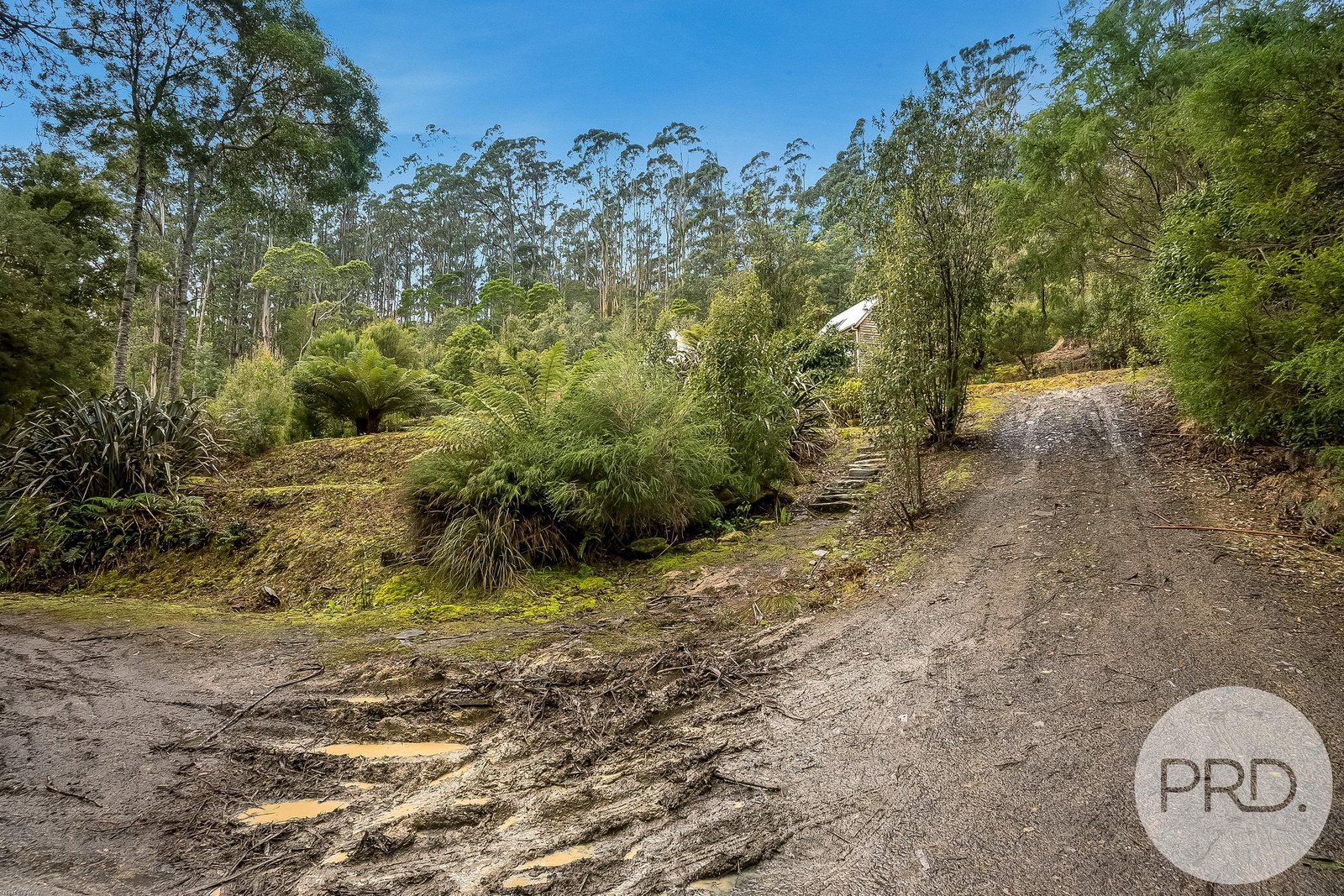 450 Fire Tower Road KOONYA 25