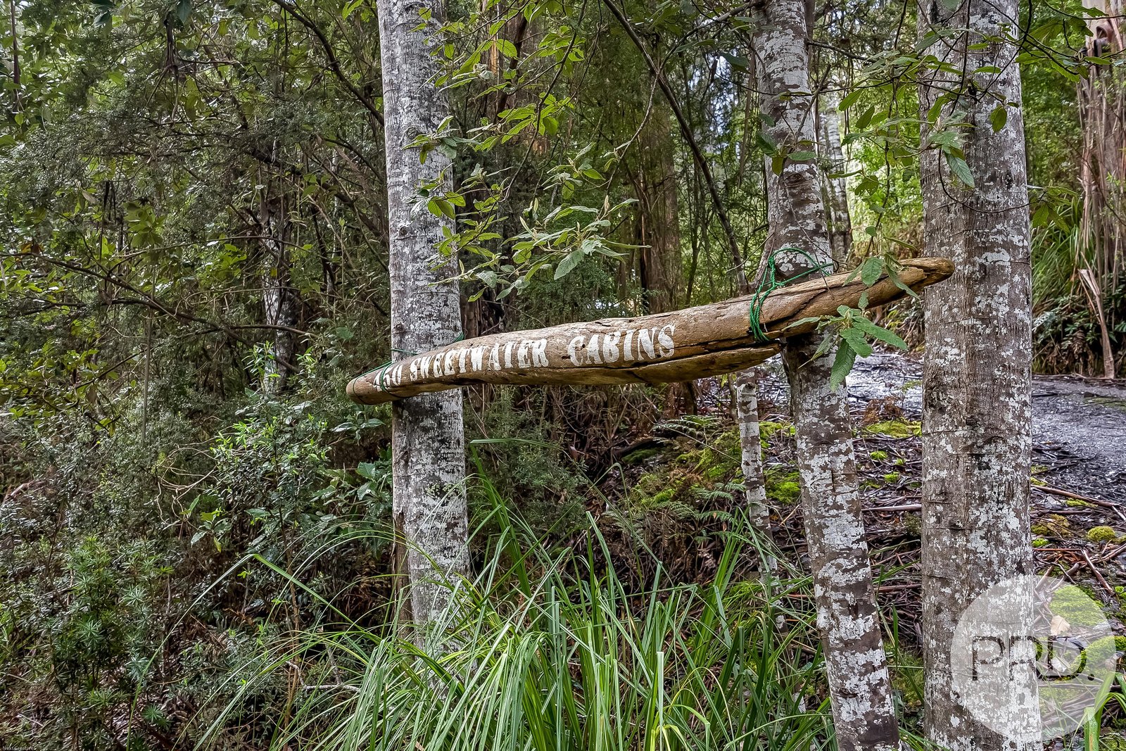 450 Fire Tower Road KOONYA 26