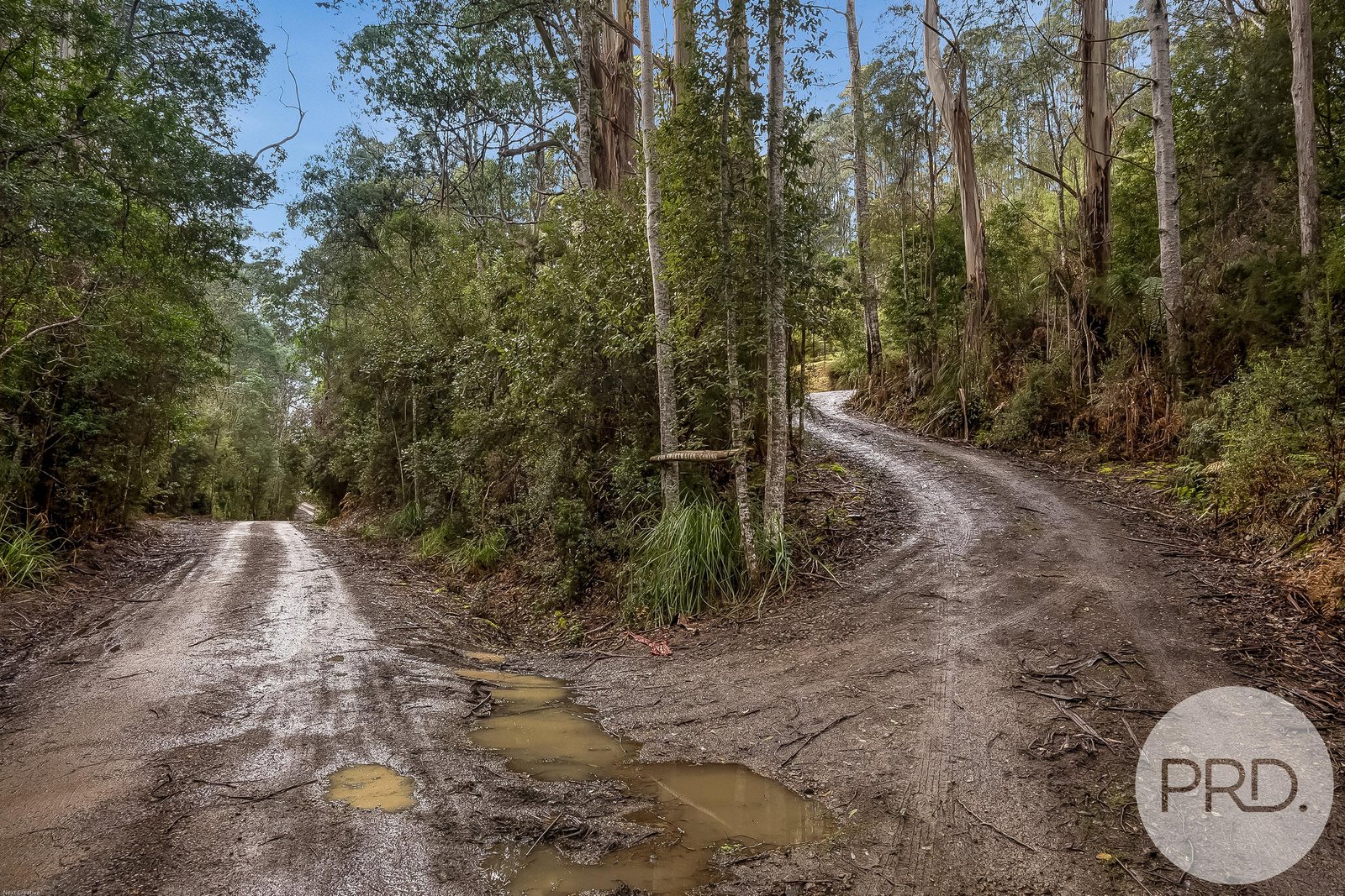 450 Fire Tower Road KOONYA 27