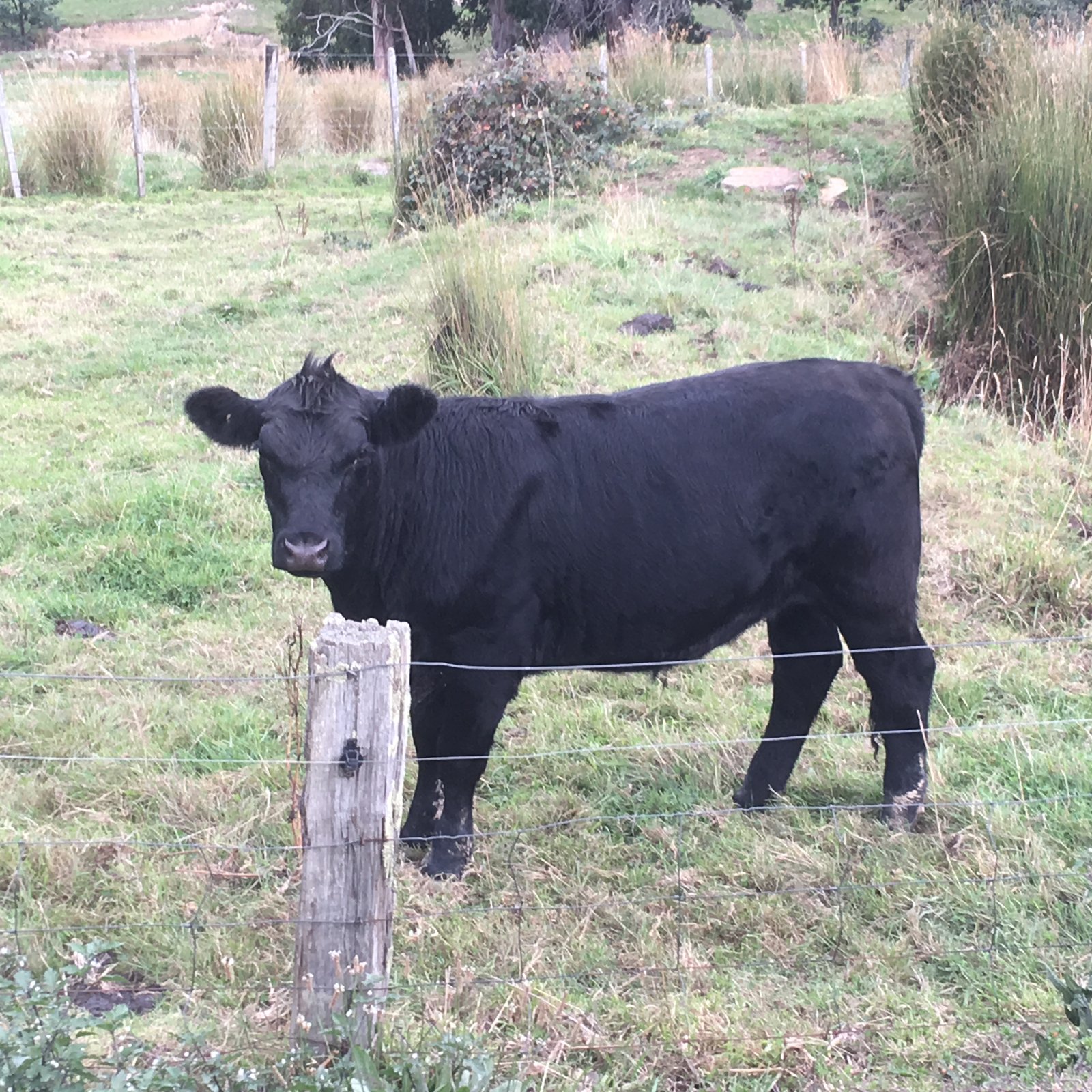 450 Fire Tower Road KOONYA 28