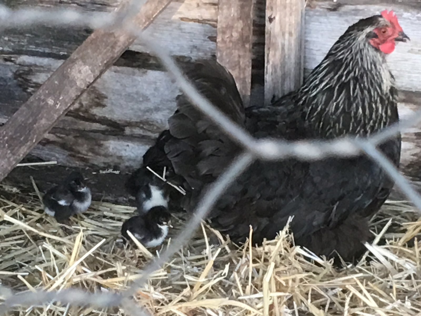 450 Fire Tower Road KOONYA 30