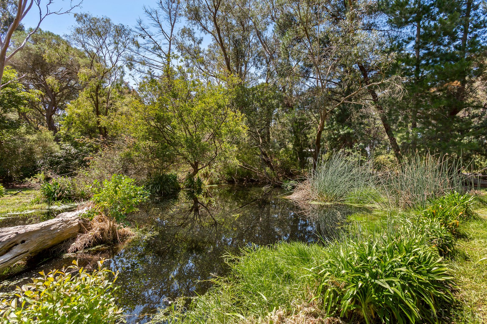 Real Estate and Property in 451-453 Grubb Road, Wallington, VIC