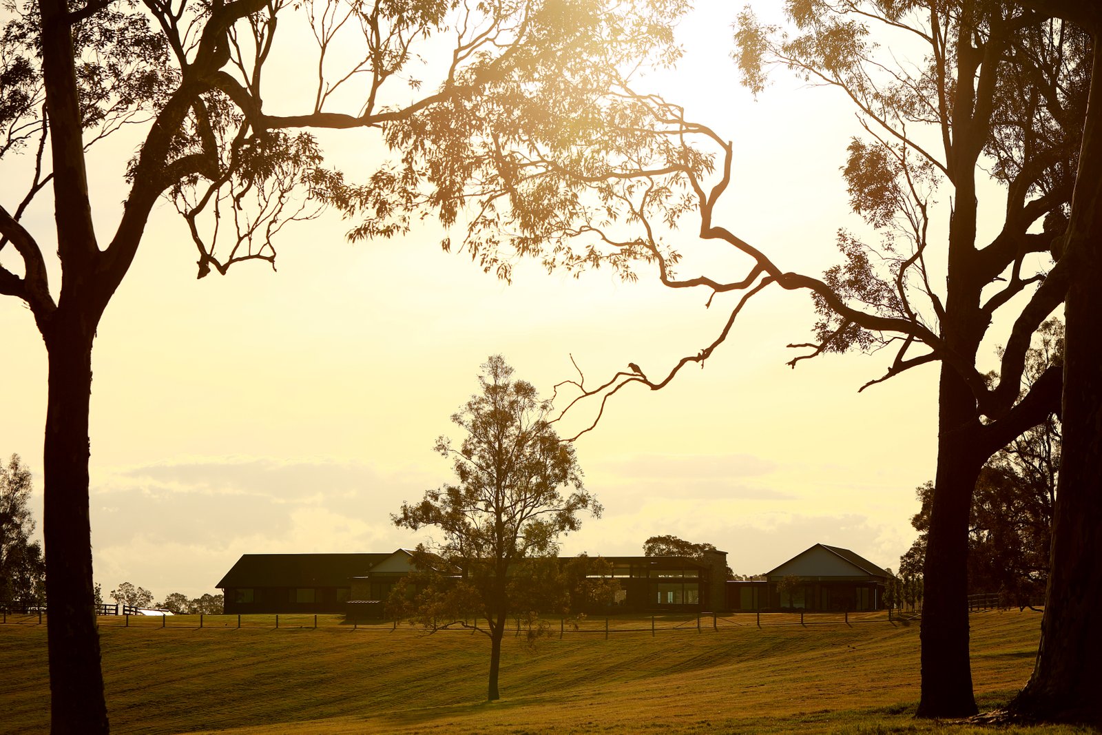 451 Tocal Road MINDARIBBA 34