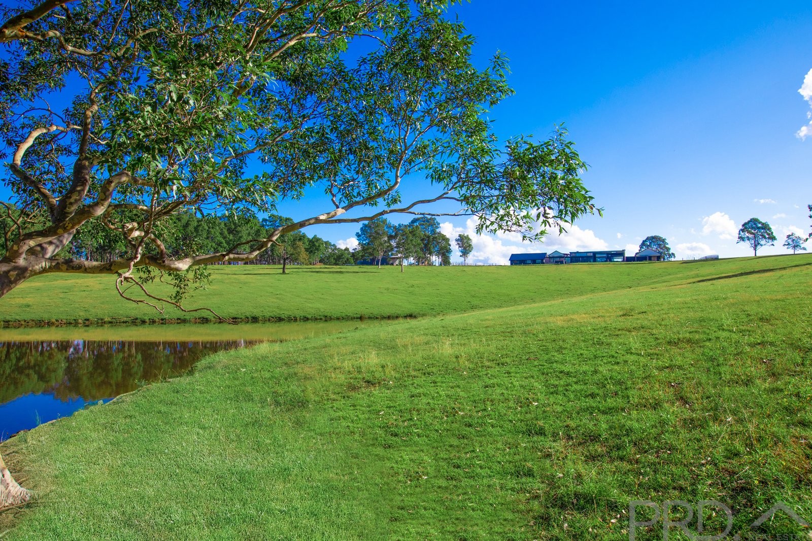 451 Tocal Road MINDARIBBA 2