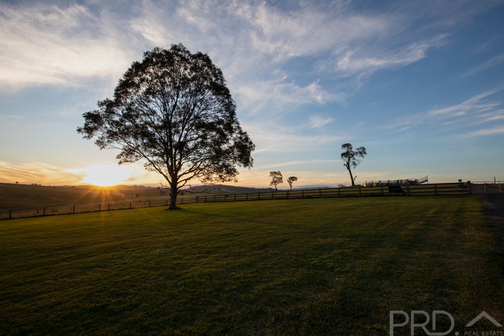 451 Tocal Road MINDARIBBA 11