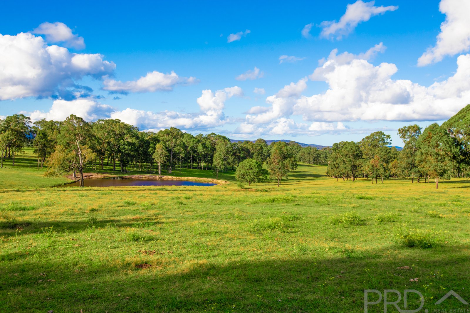 451 Tocal Road MINDARIBBA 16