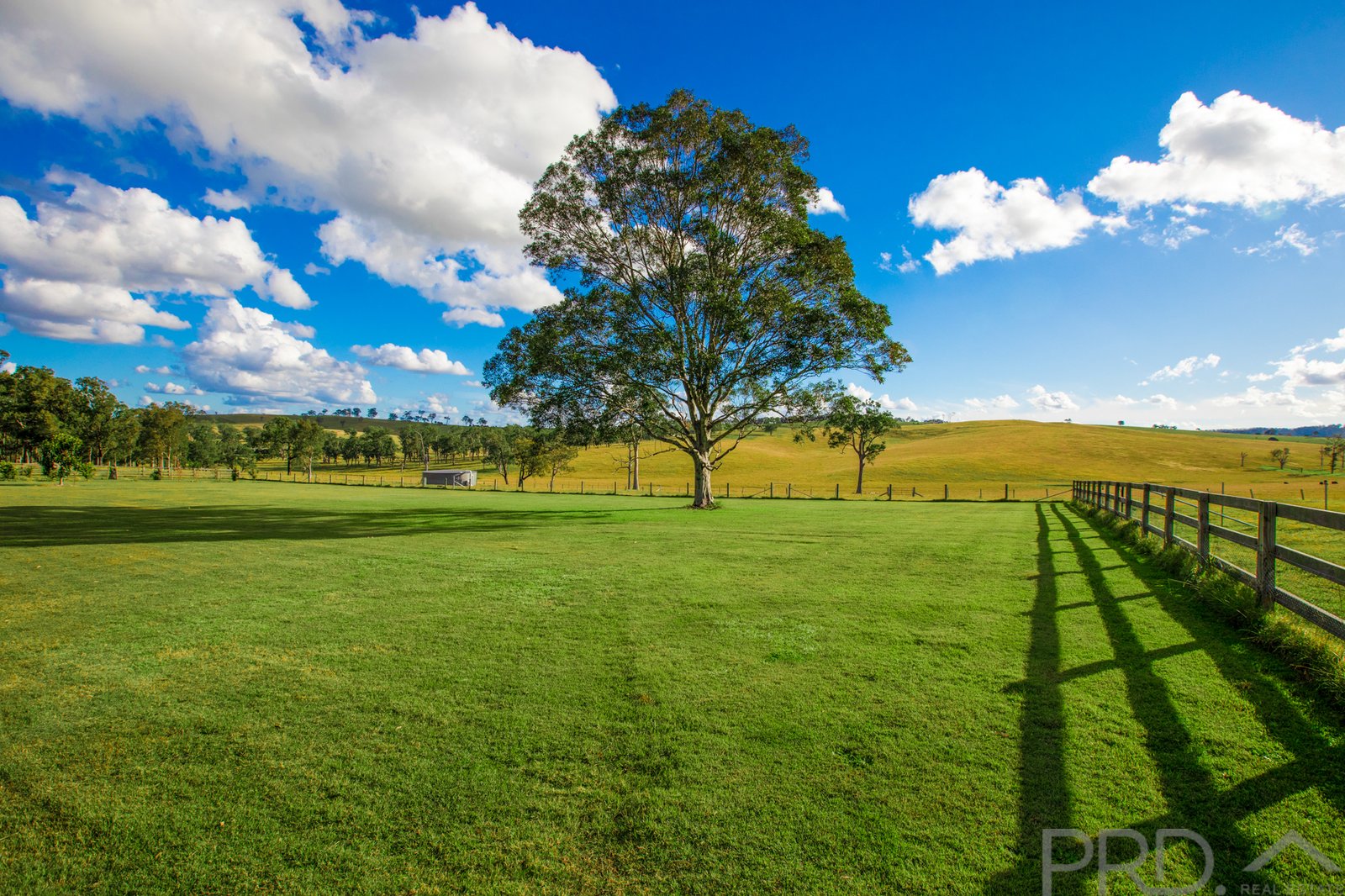 451 Tocal Road MINDARIBBA 17