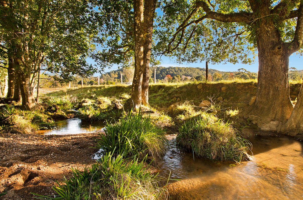 453 Deep Creek Road HANNAM VALE 2