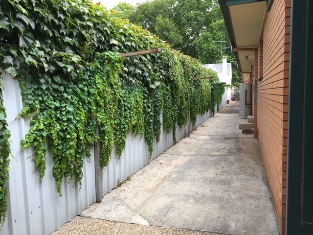 4/530 Wilcox Street ALBURY 6