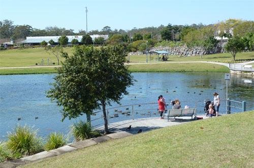 45/31 Archipelago Street PACIFIC PINES 13