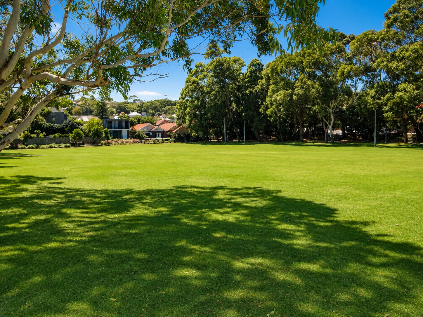 4/54A Mount Street COOGEE 7