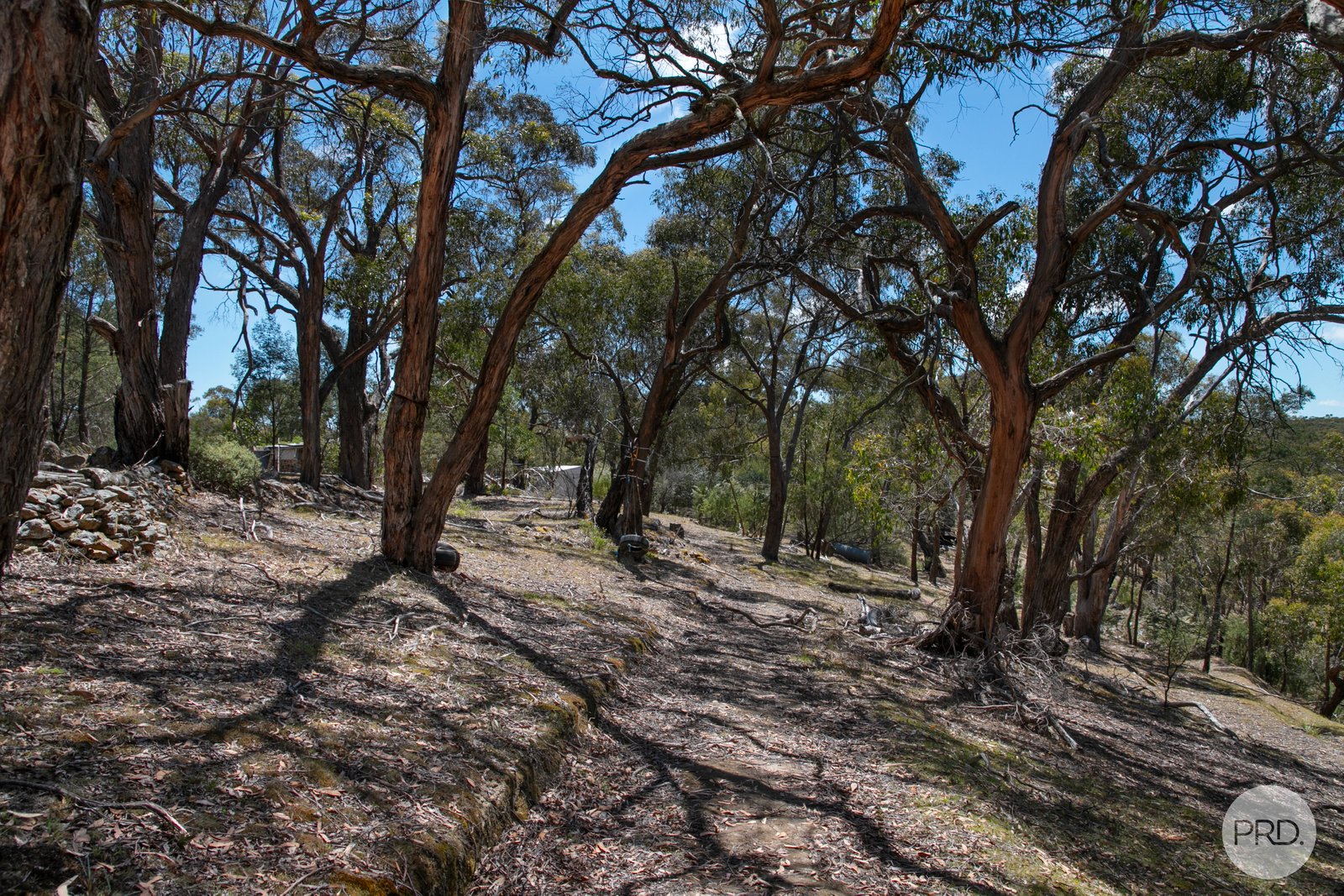 456 Ferrers Road DEREEL 9