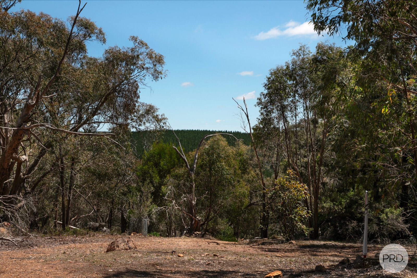 456 Ferrers Road DEREEL 10