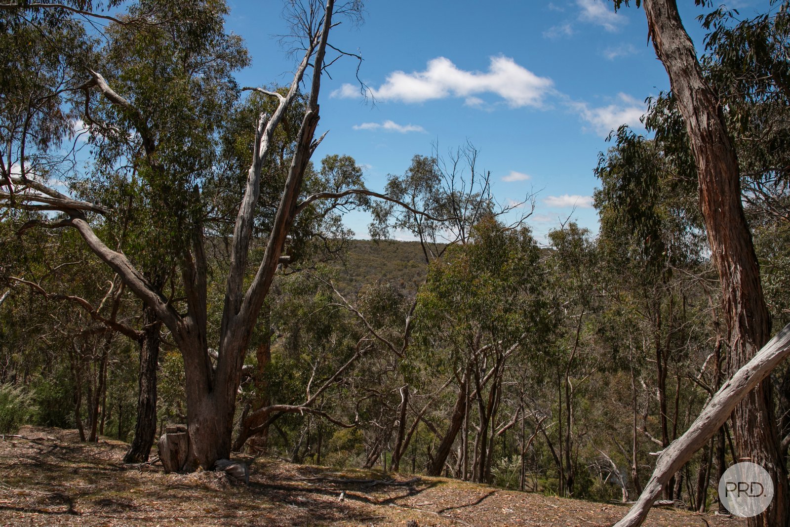 456 Ferrers Road DEREEL 11