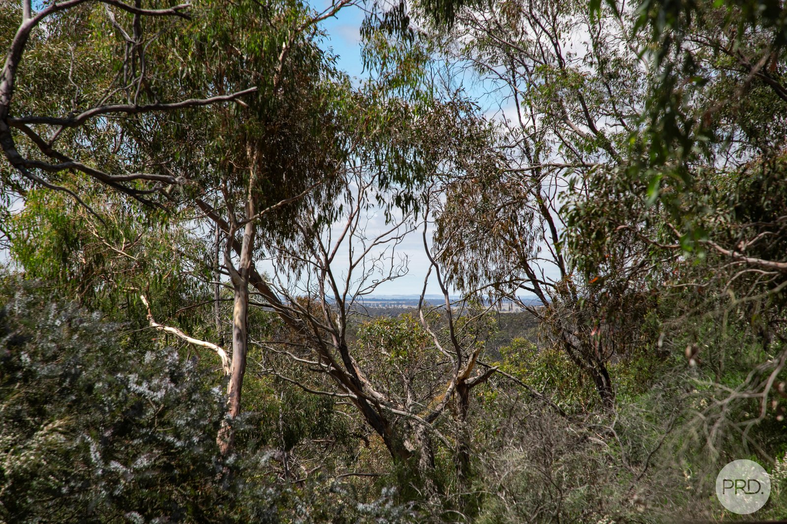 456 Ferrers Road DEREEL 12