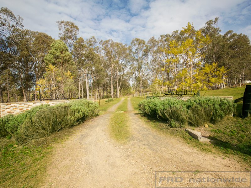 458 Elderslie Road BRANXTON 21