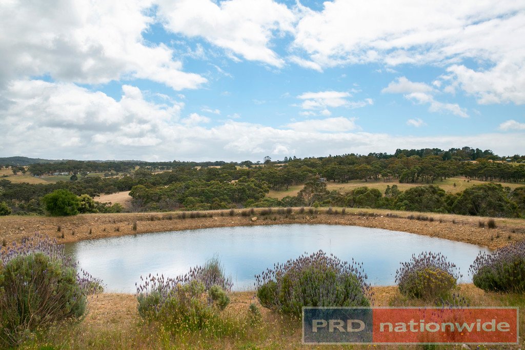458 Moonlight Road BERRINGA 2