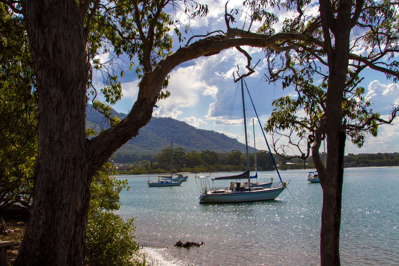 45A The Boulevarde  DUNBOGAN 10