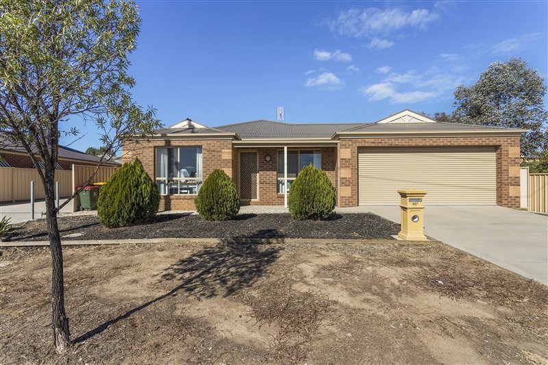 45B Watson Avenue CALIFORNIA GULLY 1