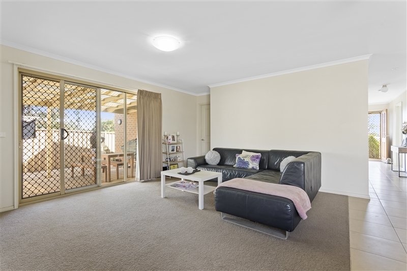 45B Watson Avenue CALIFORNIA GULLY 5