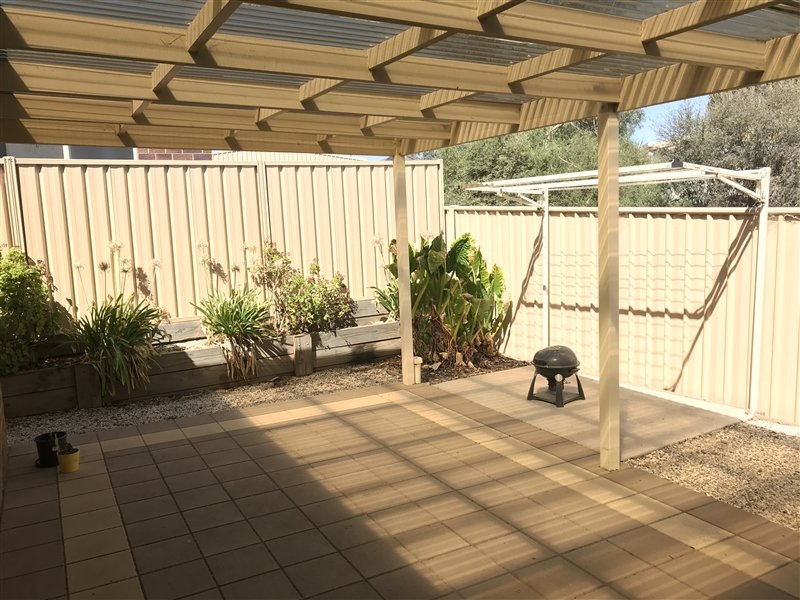 45B Watson Avenue CALIFORNIA GULLY 5