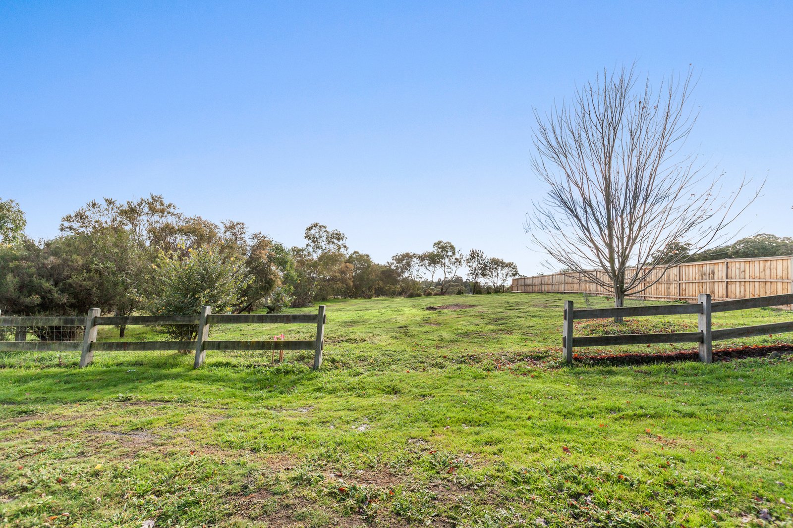 Gallery: 46 Allen Street