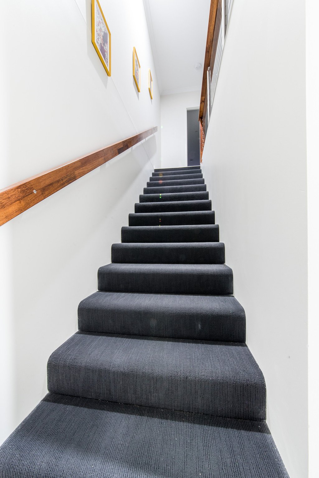 46 Altmann Avenue CANNONVALE 8