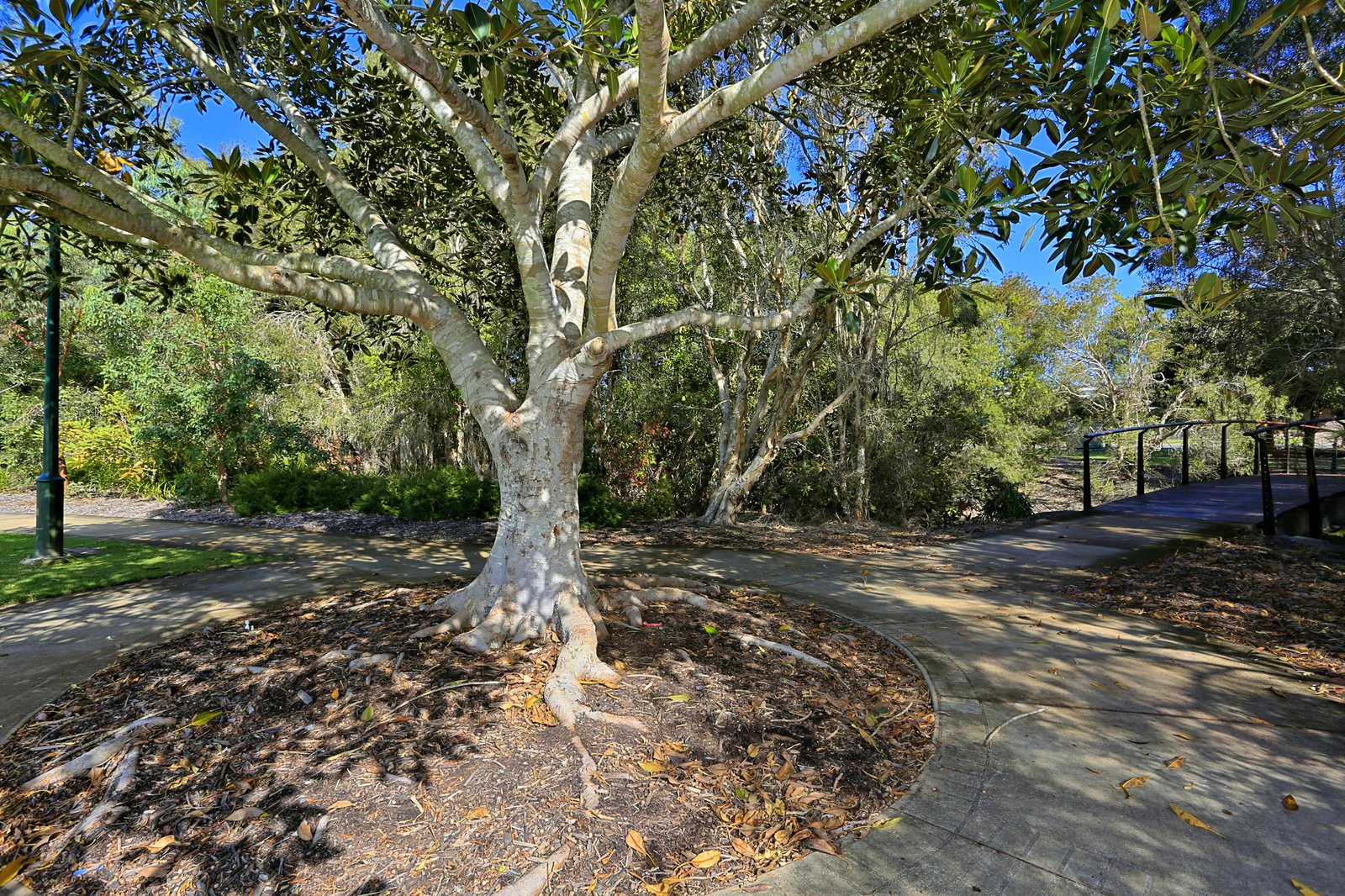 46 Bay Park Road WONDUNNA 8