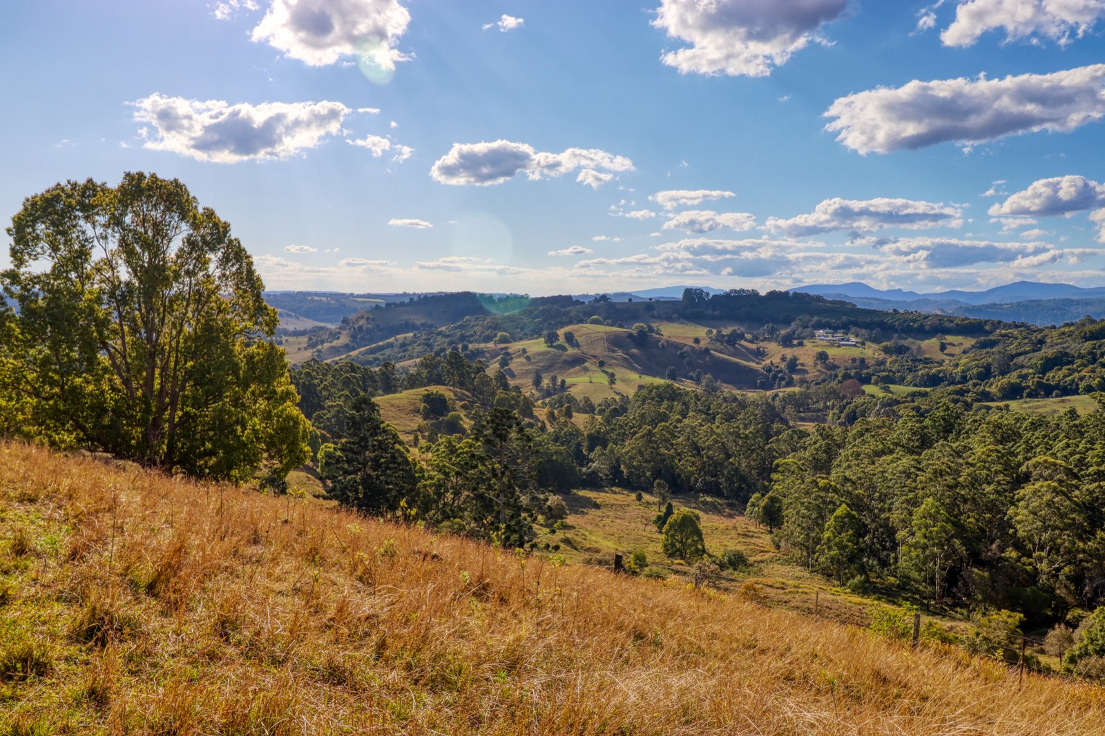 46 Beddoes Road MODANVILLE 1