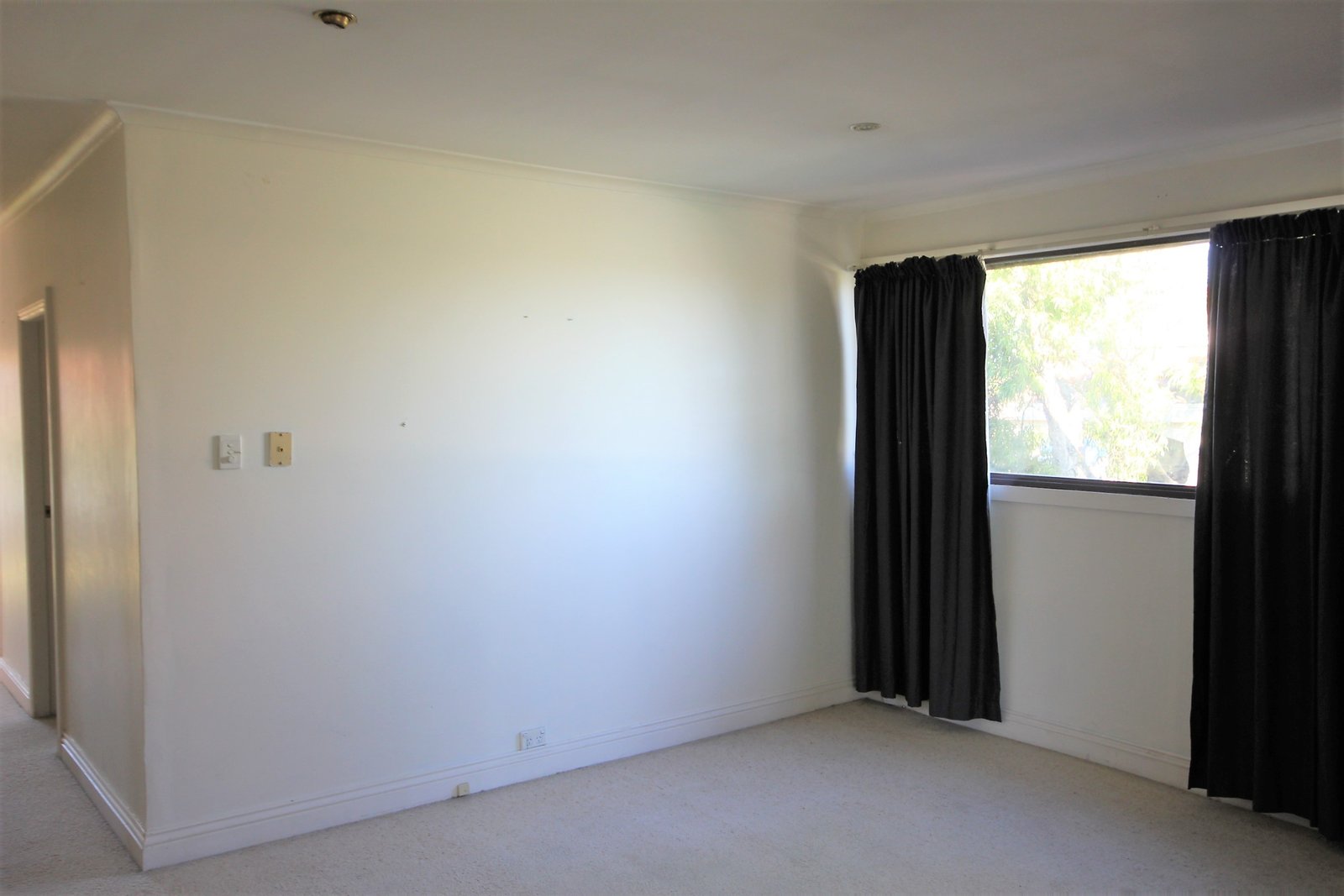 46 Brighton Street BOTANY 10