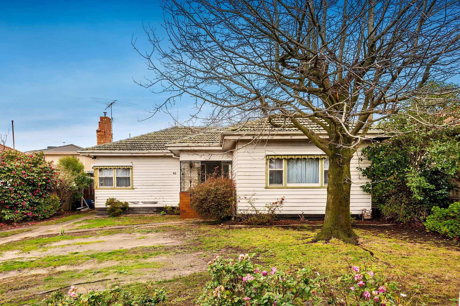 Photos: 46 Carmichael Road