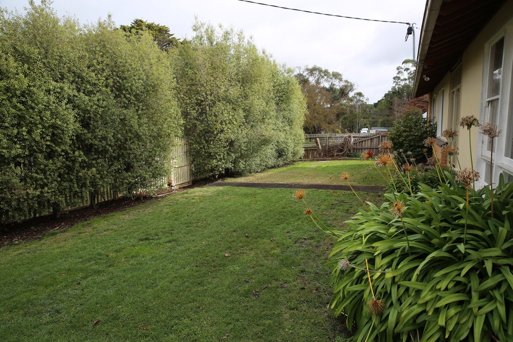 46 Clyde Street LINTON 18