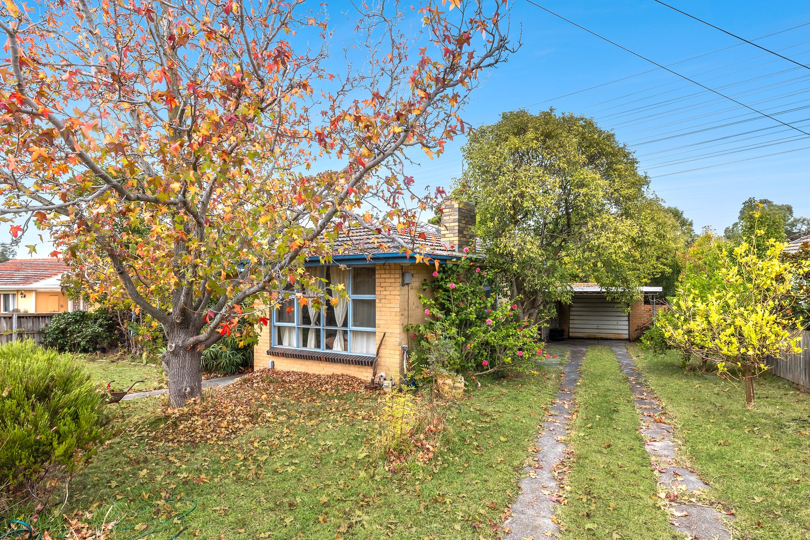 Gallery: 46 Damon Road