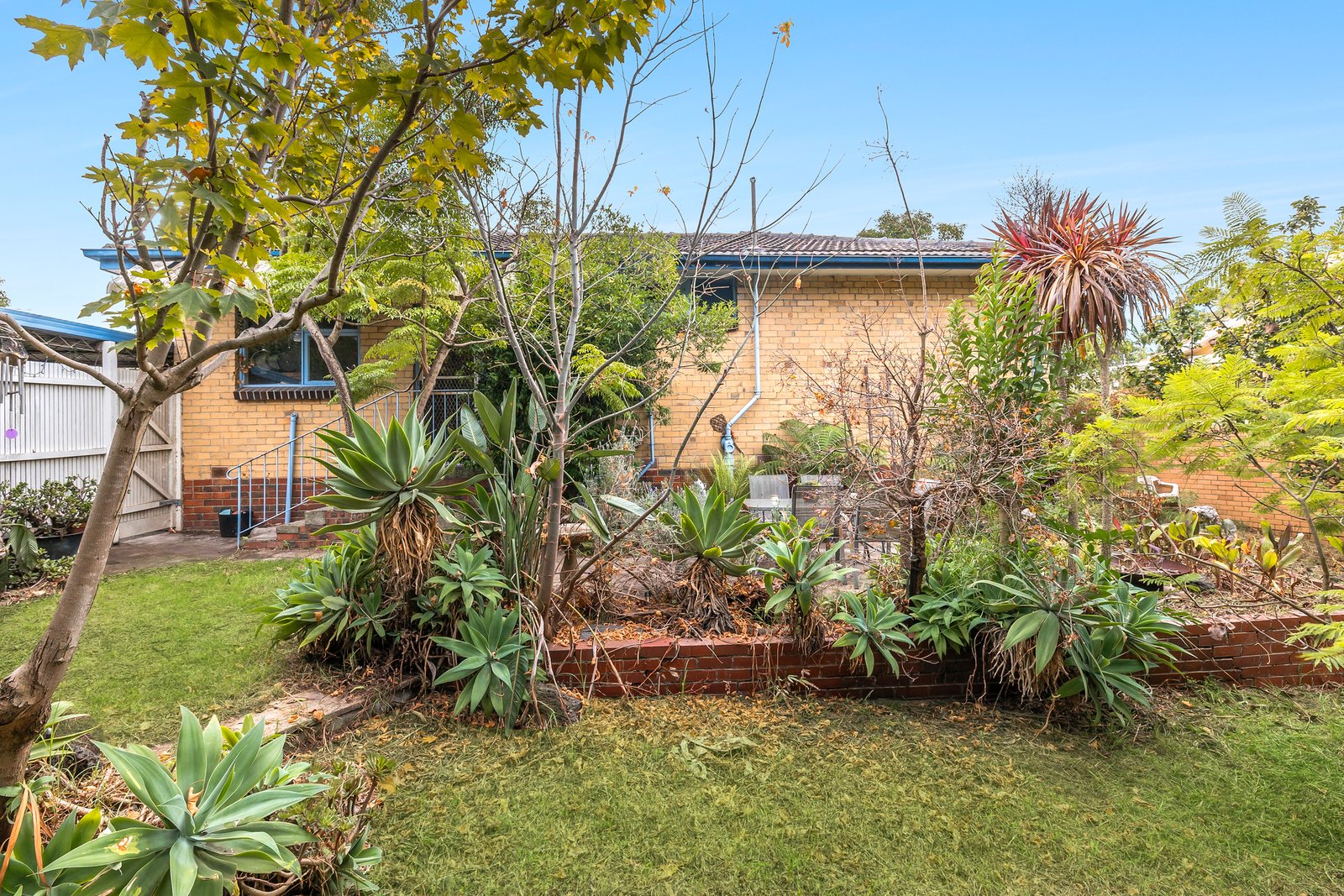 Gallery: 46 Damon Road