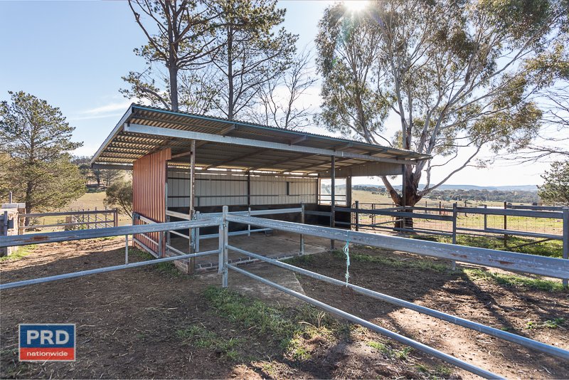 46 Douglas Close CARWOOLA 22