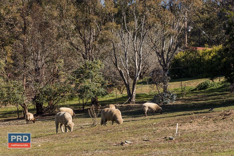 46 Douglas Close CARWOOLA 31