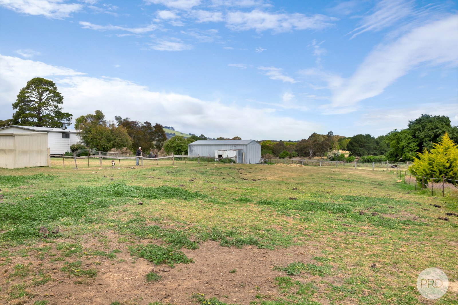 46 Elizabeth Street ALLENDALE 12