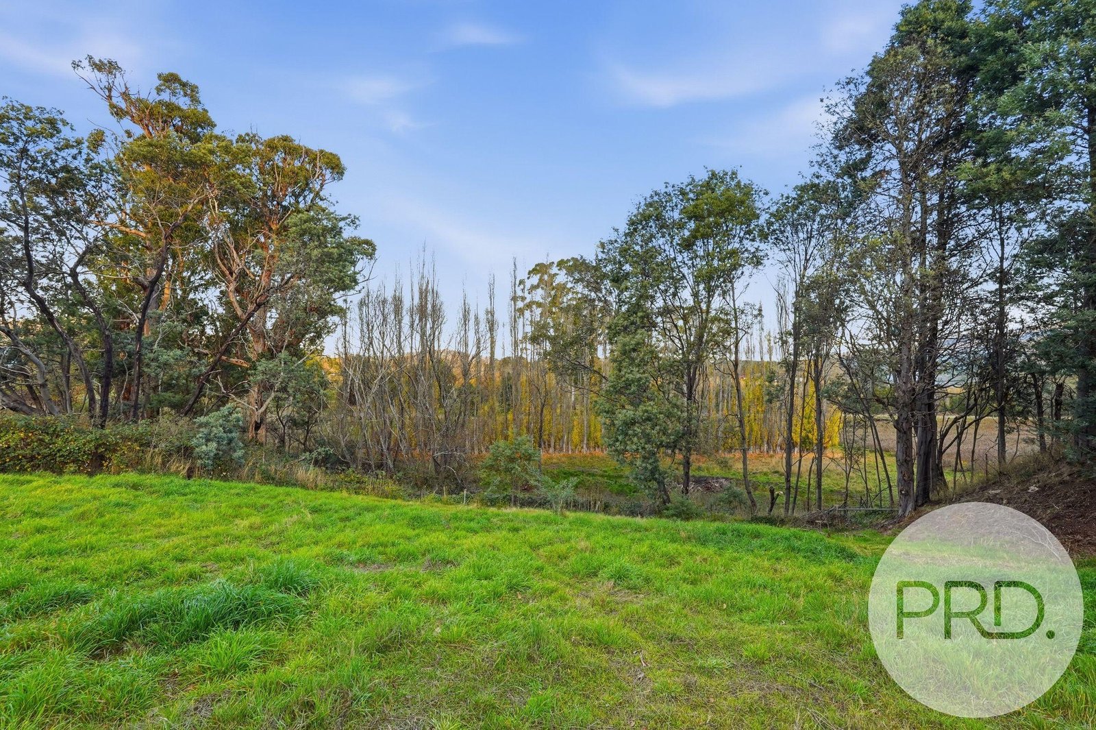 46 Ellendale Road WESTERWAY 12