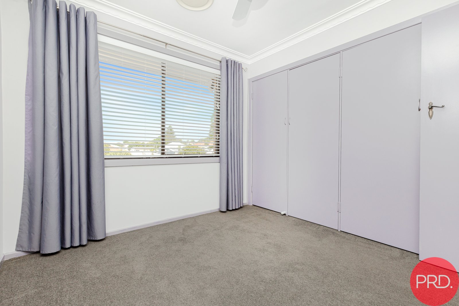 46 Gillies Street RUTHERFORD 28